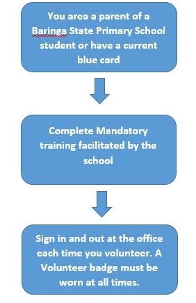 blue card volunteer flow chart