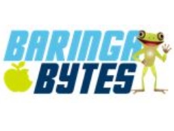Baringa bytes